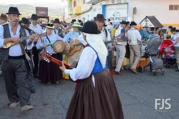 Alegre y participativa romería en El Ejido (Foto FJ Santana y TF)